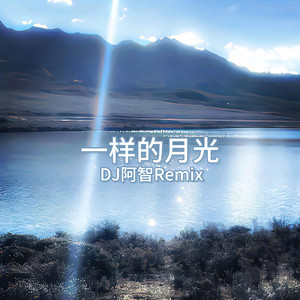 免费在线观看草莓视频
